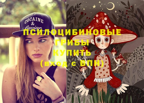 меф Осинники