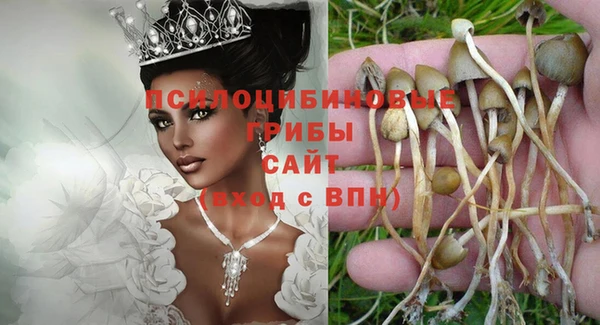бошки Осташков